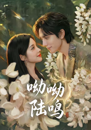 呦呦陆鸣（67集）男女都爱看的短剧