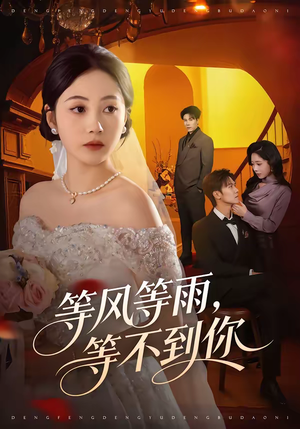 等风等雨，等不到你（65集）享受免费看短剧大结局