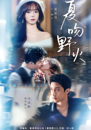 夏吻野火（80集）短剧免费看大结局