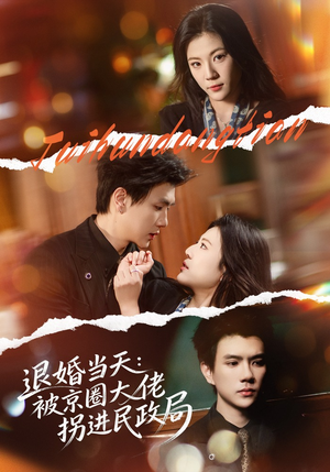 退婚当天：被京圈大佬拐进民政局（80集）番茄短剧看全集