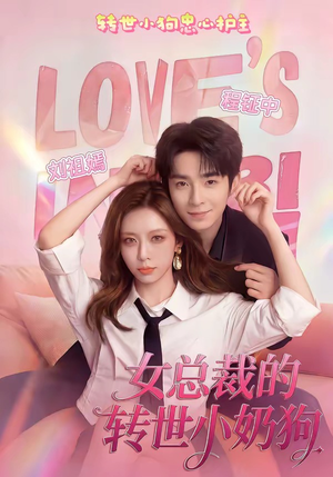 女总裁的转世小奶狗（30集）在线免费观看热门短剧