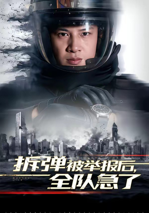 拆弹被举报后，全队急了（50集）免费观看全集短剧无删减