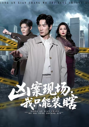 凶案现场，我只能装瞎（72集）热门短剧推荐持续中