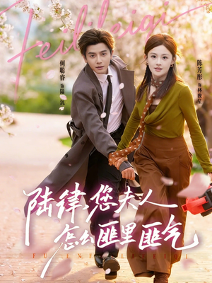 陆律，您夫人怎么匪里匪气（60集）热门短剧不停更新