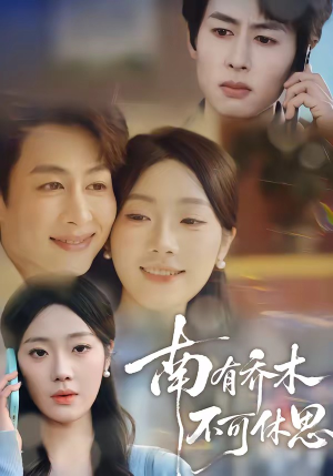 南有乔木，不可休思（68集）新短剧推荐正在热播