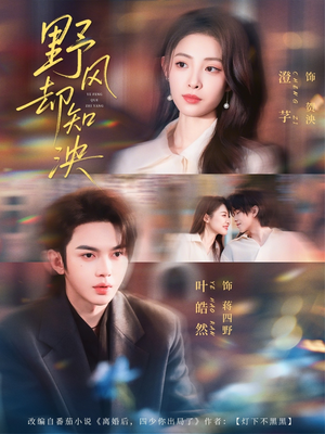 野风却知泱（80集）热门短剧免费观看