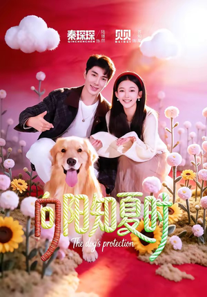 向阳知夏时（80集）诚意推荐你们也会喜欢的短剧