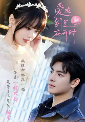 爱在剑兰花开时（56集）每天更新短剧一起来追吧