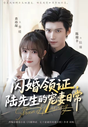 闪婚领证，陆先生的宠妻日常（86集）每天分享好看短剧精彩片段
