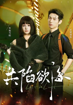 共陷欲海（66集）红果短剧免费看剧app