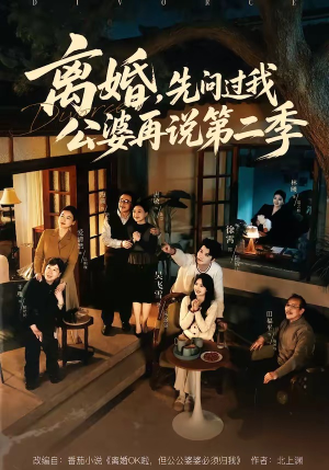 离婚，先问过我公婆再说第二季（90集）火爆短剧精彩分享