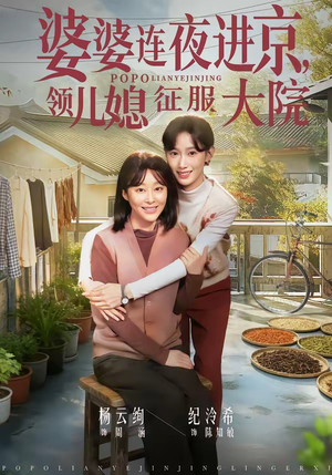 婆婆连夜进京，领儿媳征服大院（78集）免费的短剧资源大全推荐