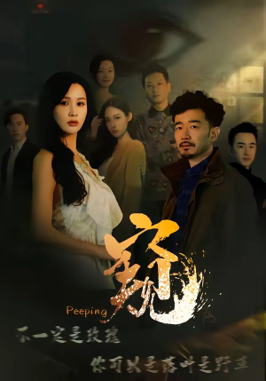 窥＆窥伺（37集）古装穿越短剧推荐