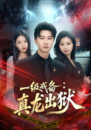 一级戒备：真龙出狱（73集）免费短剧全集看