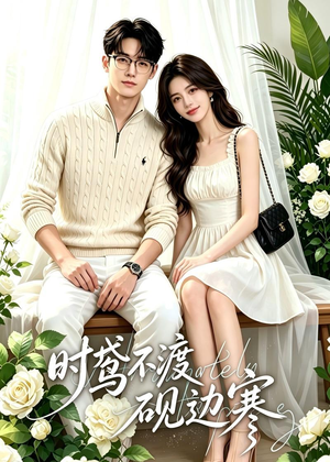 时鸢不渡砚边寒（41集）大结局一气呵成的短剧