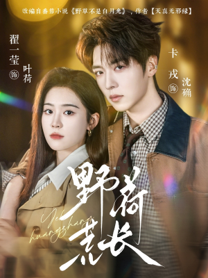 野荷荒长（86集）精彩短剧在线观看