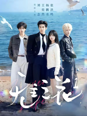 无主之花1（72集）短剧点击左下角看全集