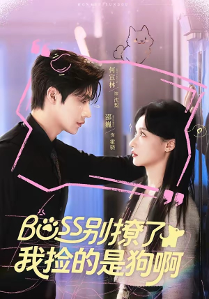 Boss别撩了，我捡的是狗呀（65集）最新热剧短剧免费看