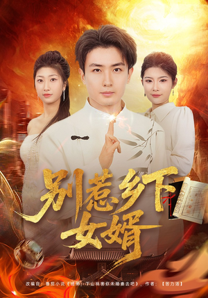 别惹乡下女婿（80集）短剧全集大结局