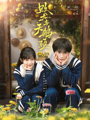 败犬与天鹅颈（71集）免费观看全集短剧无删减
