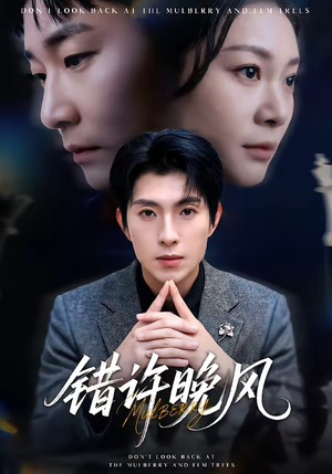 错许晚风（60集）精彩短剧抢先看