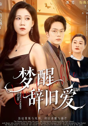 梦醒辞旧爱（55集）免费的短剧资源汇总