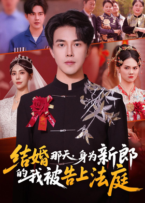 结婚那天，身为新郎的我被告上法庭（59集）免费短剧看不停
