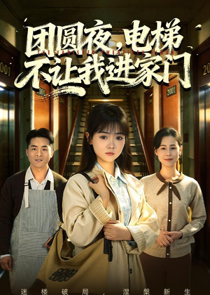 团圆夜，电梯不让我进家门（52集）短剧全剧终高清放送