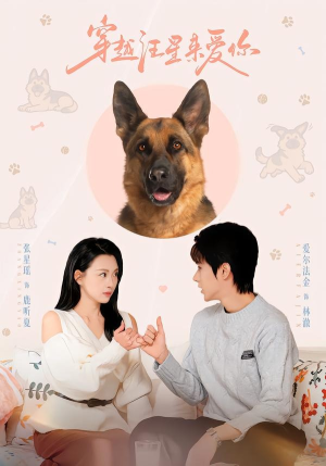 穿越汪星来爱你（62集）免费短剧观看爽翻天