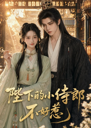 陛下的小侍郎不好惹（49集）短剧全集高清无码版