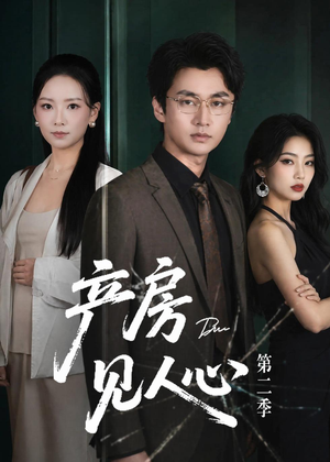 产房见人心第二季（75集）好看又上头短剧