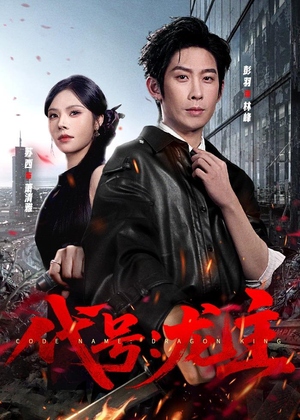 代号：龙主（70集）短剧小说在线看